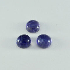riyogems 1pc ブルー アイオライト カボション 12x12 mm ラウンド形状の美しい品質の宝石