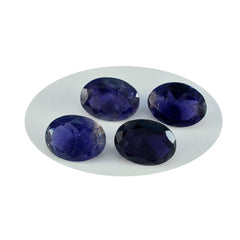 Riyogems 1 Stück blauer Iolith, facettiert, 10 x 12 mm, ovale Form, A+-Qualität, loser Stein