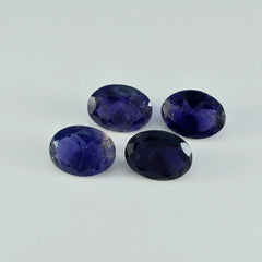 Riyogems 1PC Blue Iolite Faceted 10x12 mm Oval Shape A+ Quality Loose Stone