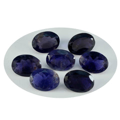Riyogems 1 Stück blauer Iolith, facettiert, 10 x 14 mm, ovale Form, A+1-Qualität, loser Edelstein