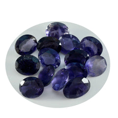 Riyogems 1PC Blue Iolite Faceted 9x11 mm Oval Shape AAA Quality Loose Gems