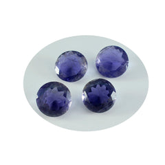 Riyogems 1PC Blue Iolite Faceted 14x14 mm Round Shape beauty Quality Loose Gems