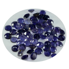 Riyogems 1PC Blue Iolite Faceted 5x5 mm Round Shape lovely Quality Loose Gem