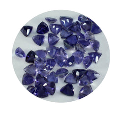 Riyogems 1PC Blue Iolite Faceted 6x6 mm Trillion Shape excellent Quality Loose Stone