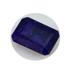 Riyogems 1 Stück natürlicher blauer Jaspis, facettiert, 10 x 14 mm, achteckige Form, Edelstein von erstaunlicher Qualität