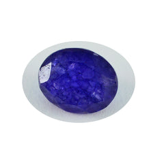 Riyogems 1PC Genuine Blue Jasper Faceted 8x10 mm Oval Shape pretty Quality Stone