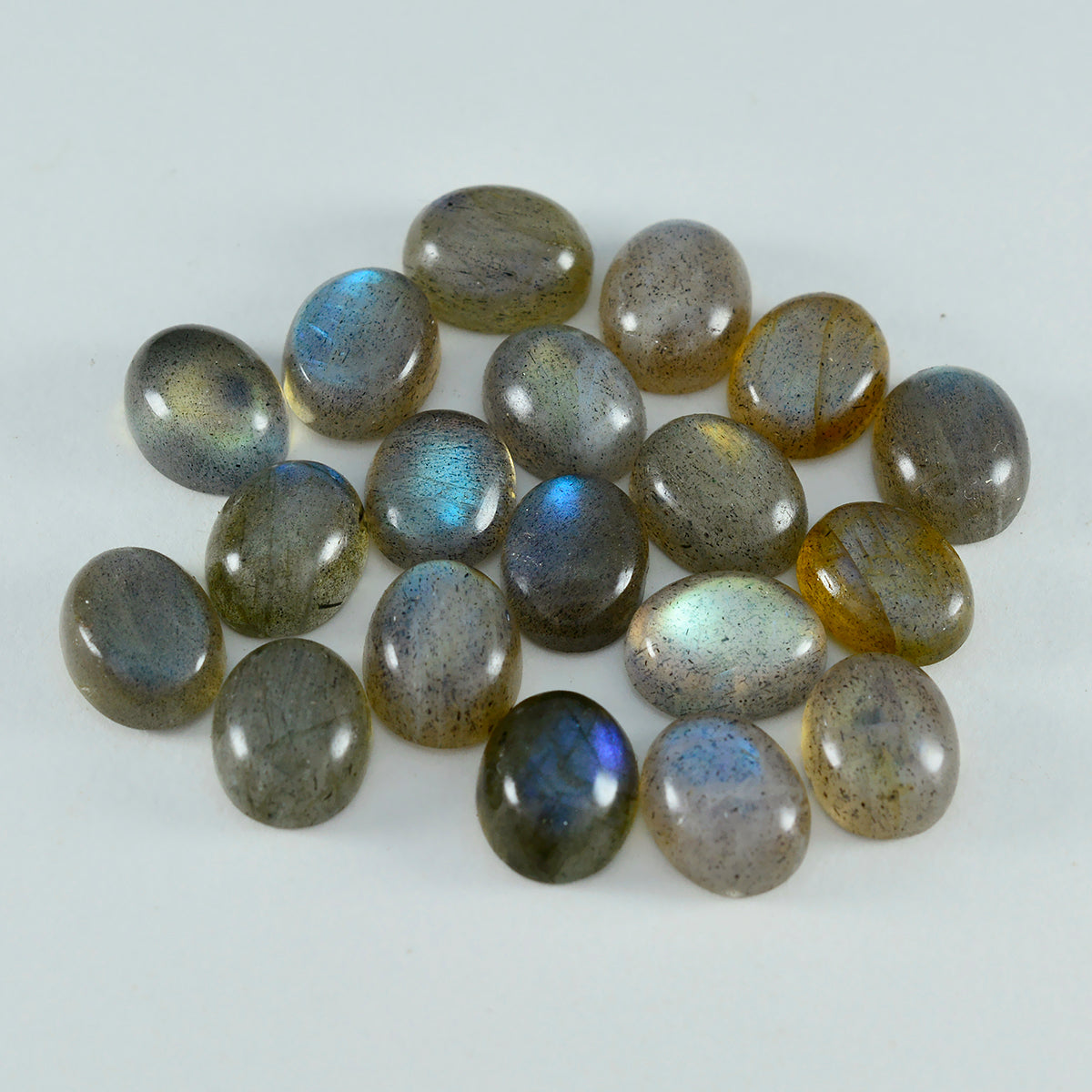 riyogems 1pc cabochon labradorite grise 6x8 mm forme ovale belles pierres précieuses de qualité