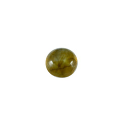 riyogems 1pz cabochon di labradorite grigia 12x12 mm forma rotonda gemme di qualità a+