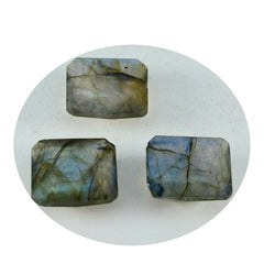 Riyogems 1PC Real Grey Labradorite Faceted 10x14 mm Octagon Shape fantastic Quality Loose Stone