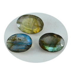 Riyogems 1PC Natural Grey Labradorite Faceted 10x14 mm Oval Shape handsome Quality Stone