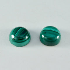 riyogems 1pc グリーン マラカイト カボション 14x14 mm ラウンド形状素晴らしい品質ルース宝石