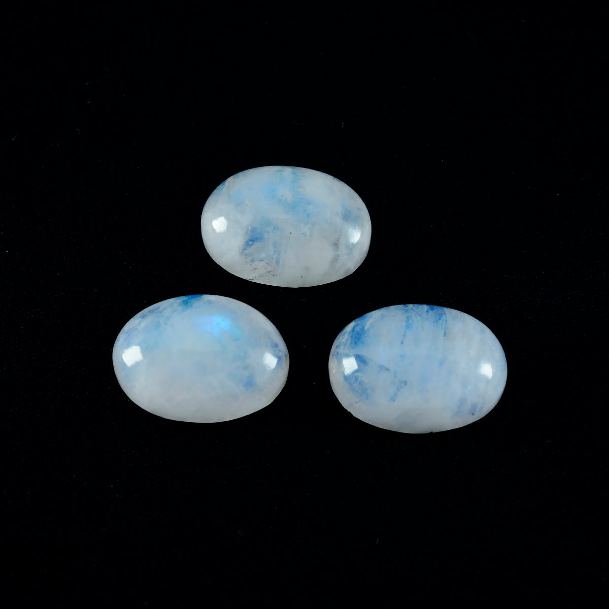 Riyogems 1PC witte regenboogmaansteen cabochon 10x12 mm ovale vorm mooie kwaliteitssteen