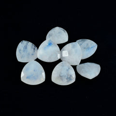 Riyogems 1pc pierre de lune arc-en-ciel blanche à facettes 5x5mm forme trillion jolies pierres précieuses de qualité