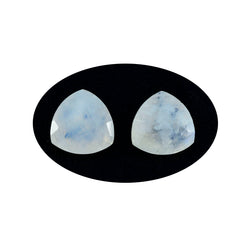 Riyogems 1PC White Rainbow Moonstone Faceted 7x7 mm Trillion Shape lovely Quality Gemstone